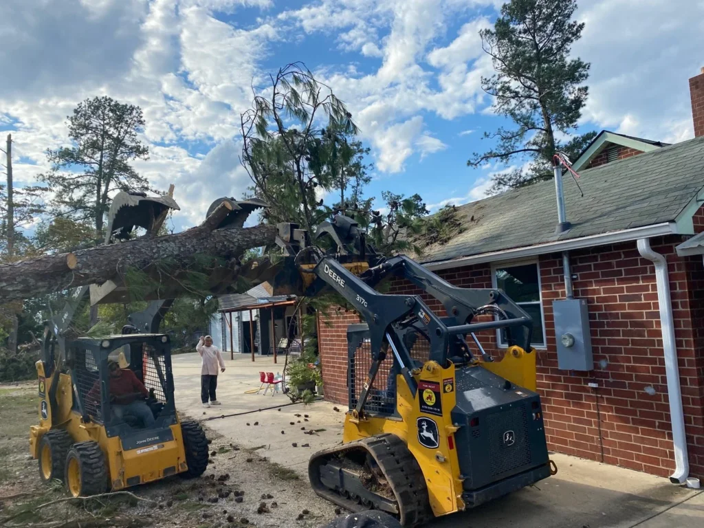 tree_services